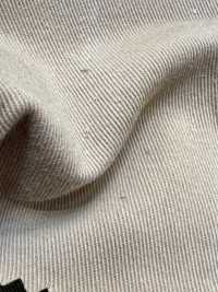 HK2010GW Chino De Algodón, Teñido Con Pigmentos + OW[Fabrica Textil] KOYAMA Subfoto