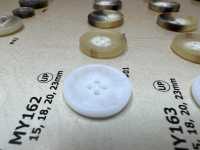 MY162 Botones De Resina De 4 Agujeros De Cuerno De Búfalo De Agua[Botón] DAIYA BUTTON(DAIYA BUTTON) Subfoto