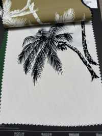 5025-300-1 Filadelfia Filadelfia[Fabrica Textil] HOKKOH Subfoto