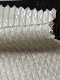 5-CRCOR-M Jersey Liso De Pana De Algodón Sin Patrón[Fabrica Textil] HOKKOH Subfoto