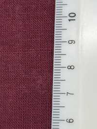 RN5061 Lawn Platt Air In De Lino Y Papel Washi[Fabrica Textil] KOYAMA Subfoto