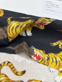 850587 Cuentos Locales Del Césped Tomi[Fabrica Textil] VANCET Subfoto