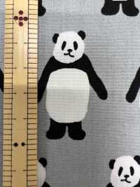 850564 Paño Ancho <Mira Hacia Aquí, Panda>[Fabrica Textil] VANCET Subfoto