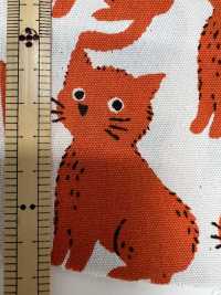 850575 Algodón Oxford Sin Blanquear, Gato Y Chidori[Fabrica Textil] VANCET Subfoto