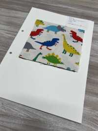 850579 Algodón Oxford Sin Blanquear, Cálido, Dinosaurio[Fabrica Textil] VANCET Subfoto