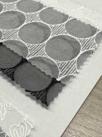 SLC8567 SLC 8567 (Círculo) Encaje De Organza De Seda[Fabrica Textil] KOYAMA Subfoto