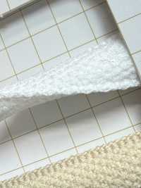 HE-1003 Cordón De Aguja De Poliéster[Cordón De Cinta De Cinta] Sin Nombre Subfoto