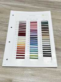 HC-1123 Cordón De Algodón S[Cordón De Cinta De Cinta] Sin Nombre Subfoto