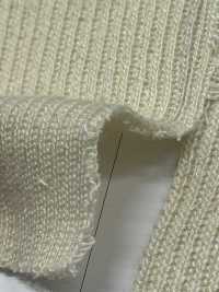 P615 Punto Elástico 1 Pieza 2 X 1 60 Cm De Ancho[Punto Acanalado] TAKENAKA CORPORATION Subfoto