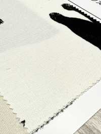 AP52101-DR Kuroneko Oxford (Pliegue Por La Mitad)[Fabrica Textil] COSMO TEXTILE Subfoto