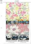 AP55808 Essential Grace 2 Oxford (Rollo)