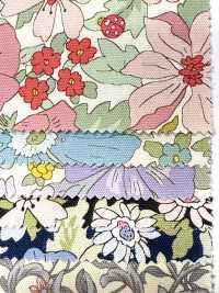 AP55808-DR Essential Grace 2 Oxford (Pliegue Por La Mitad)[Fabrica Textil] COSMO TEXTILE Subfoto