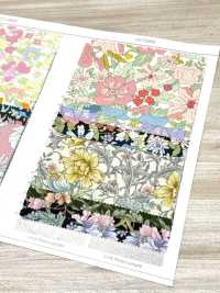 AP55808-DR Essential Grace 2 Oxford (Pliegue Por La Mitad)[Fabrica Textil] COSMO TEXTILE Subfoto