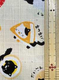 AP55109-DR Historia Japonesa Dobby (Doblada Por La Mitad)[Fabrica Textil] COSMO TEXTILE Subfoto
