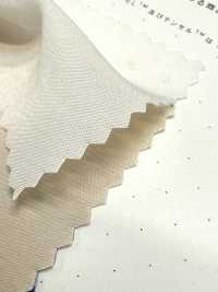 1830 Tela De Fibra Modal Poly-Tencel™[Fabrica Textil] Textiles Kuwamura Subfoto