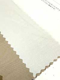 SBT-003 Orgánico ECO Sin Estampado[Fabrica Textil] Textiles Kuwamura Subfoto