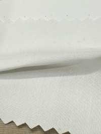 SBT-003 Orgánico ECO Sin Estampado[Fabrica Textil] Textiles Kuwamura Subfoto