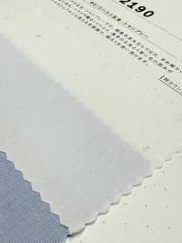 2190 80/2 Extremo A Extremo Tamamushi Chambray[Fabrica Textil] Textiles Kuwamura Subfoto