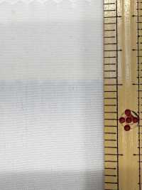 2190 80/2 Extremo A Extremo Tamamushi Chambray[Fabrica Textil] Textiles Kuwamura Subfoto