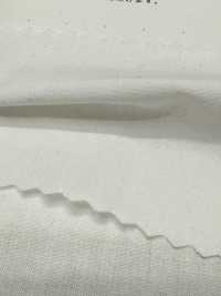 2030 Lino A Prueba De Plumón 40/1[Fabrica Textil] Textiles Kuwamura Subfoto