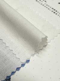 1200 20/1 Peto[Fabrica Textil] Textiles Kuwamura Subfoto