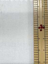 1200 20/1 Peto[Fabrica Textil] Textiles Kuwamura Subfoto