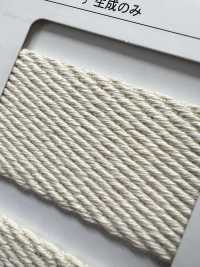 NO5502-19 Bolsa De Sarga Con Cinta De Cinturón[Cordón De Cinta De Cinta] RIVER Subfoto