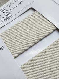 NO5502-19 Bolsa De Sarga Con Cinta De Cinturón[Cordón De Cinta De Cinta] RIVER Subfoto