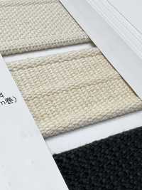 NO5502-24 Cinta De Cinturón Con Orillo A Rayas Tejido[Cordón De Cinta De Cinta] RIVER Subfoto