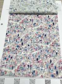 1026-625-12 60 Viajes Aéreos En Césped[Fabrica Textil] HOKKOH Subfoto