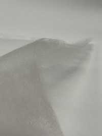 KWX30 [Entretela] Subfoto