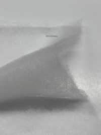 KWX30 [Entretela] Subfoto