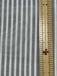 KCP326-W-DH-714 T/C Corte De Voile Transparente Shaguard[Fabrica Textil] Uni Textile(Estudio Komon) Subfoto