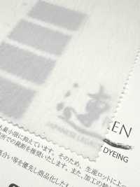 11555 [Fabrica Textil] SUNWELL Subfoto