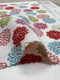 KKP2338-D-HAIKARA Futako Chirimen Haikara Kogiku[Fabrica Textil] Uni Textile(Estudio Komon) Subfoto