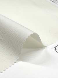 11554 [Fabrica Textil] SUNWELL Subfoto