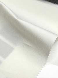 11554 [Fabrica Textil] SUNWELL Subfoto