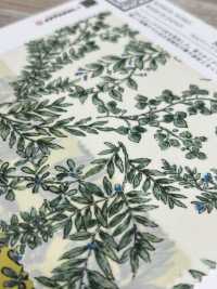 KKP3600-58-DBK-101W Nueva Venus Ancho Ancho[Fabrica Textil] Uni Textile(Estudio Komon) Subfoto