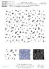 KKP4193-D100-97 Jacquard de gasa cortada