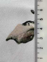 KDP8712-58-DD-563 Impresión De Inyección De Tinta De Ancho Amplio En Grosgrain Mate[Fabrica Textil] Uni Textile(Estudio Komon) Subfoto