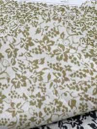 7026-1610-1 60 Césped 9088 Ardilla Y Uvas[Fabrica Textil] HOKKOH Subfoto