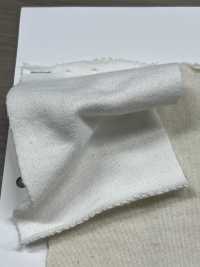 W-48377 Polar Champion II Vintage[Fabrica Textil] Minami Subfoto