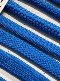 6AY Cuerda Flexible Para Bolsa De 4,6 Mm[Cordón De Cinta De Cinta] Cordon Subfoto