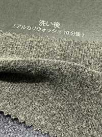 1078554GA La Nervadura Circular De Fresado De Pigmentos Multiusos[Fabrica Textil] TAKISADA NAGOYA Subfoto