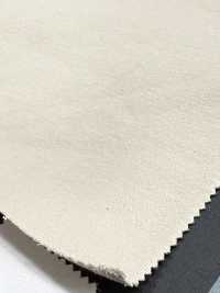 1078602 Vellón Masticable Hiperelástico (Modificado)[Fabrica Textil] TAKISADA NAGOYA Subfoto