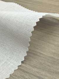 PH5500N PH5500N[Entretela] Sin Nombre Subfoto