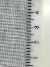 PH5500N PH5500N[Entretela] Sin Nombre Subfoto