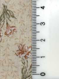 83076 Colección Nostalgia De Algodón Sin Blanquear De 60 Céspedes Fresia[Fabrica Textil] VANCET Subfoto