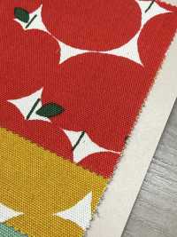 850551 Algodón Oxford Sin Blanquear Con Estampado De Lunares De Manzana[Fabrica Textil] VANCET Subfoto