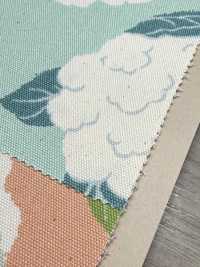 850553 Coliflor De Algodón Oxford Sin Blanquear[Fabrica Textil] VANCET Subfoto